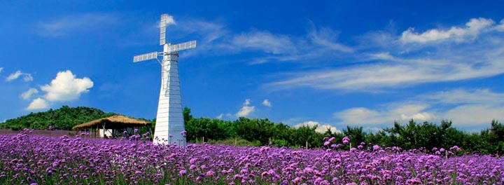 乡村旅游规划院：蓝调薰衣草庄园旅游规划鸟瞰图