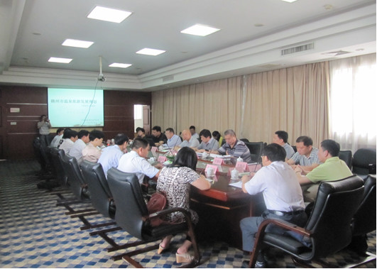海森旅游策划公司总裁王峰出席赣州市温泉旅游发展规划专家评审会