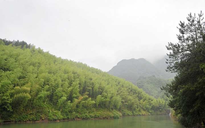 南天目山竹林和水库