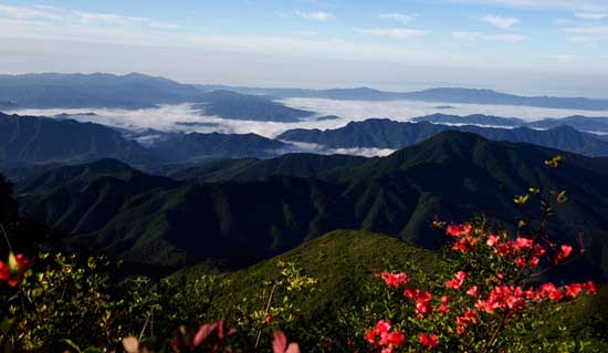 大围山云海奇观