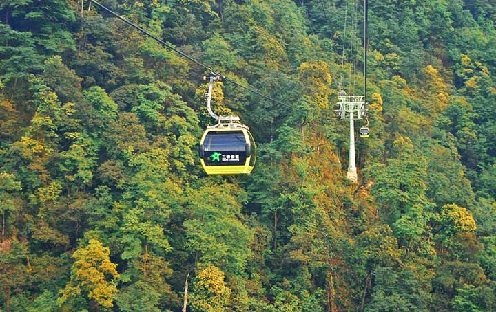 山地旅游策划公司：山腰茂密的植被