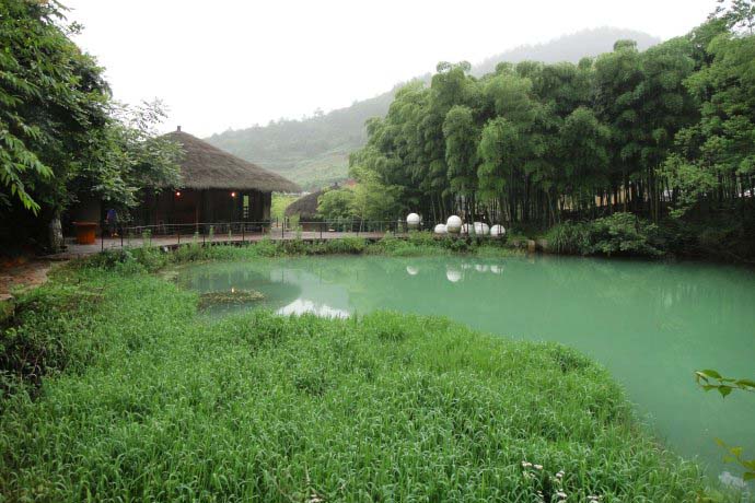 度假地产项目旅游规划设计院：裸心谷茶园旅游规划实景