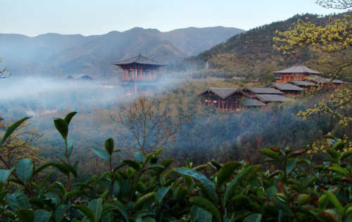 浙江茶文化度假区的旅游策划