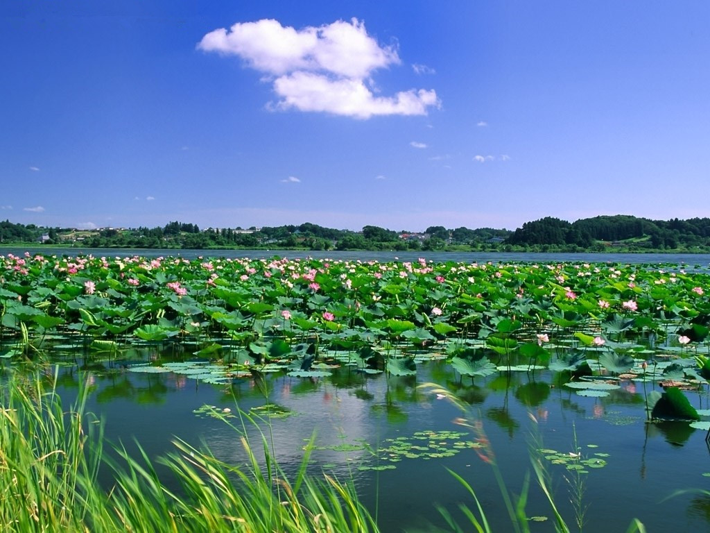 旅游项目开发流程