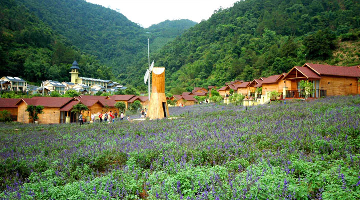 盘龙峡生态旅游区木屋旅游规划采用大面积玻璃窗