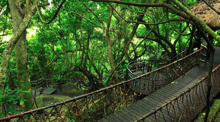 景区旅游规划设计公司：海南呀诺达雨林文化旅游区十分注重生态旅游规划