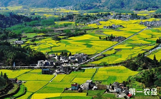 农业部发文促乡村旅游发展　鼓励PPP模式