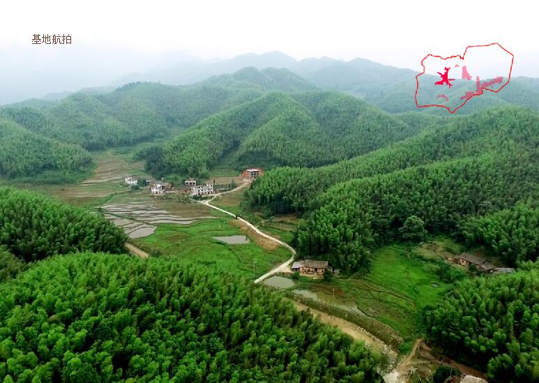 打造中国一流的森林康养度假目的地——明月山森林汤谷康养度假小镇